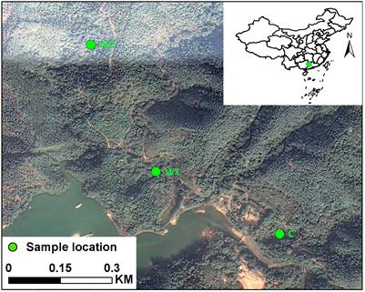 Captivity Influences Gut Microbiota in Crocodile Lizards (Shinisaurus crocodilurus)